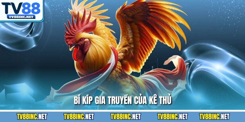 Bí kíp gia truyền của kê thủ 