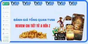 Đánh Giá TV88: Review Chi Tiết Từ A Đến Z Uy Tín Hay Lừa Đảo
